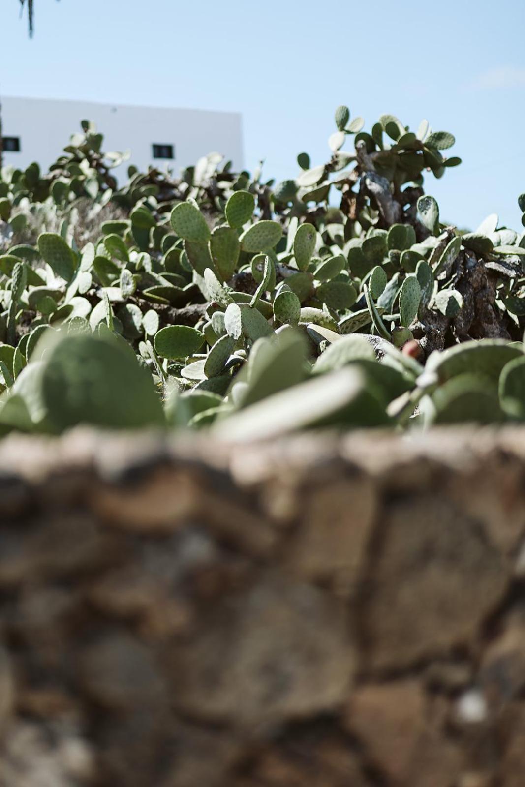 Country house Hotelito Rural Flor De Timanfaya *